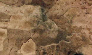 Sands of Time