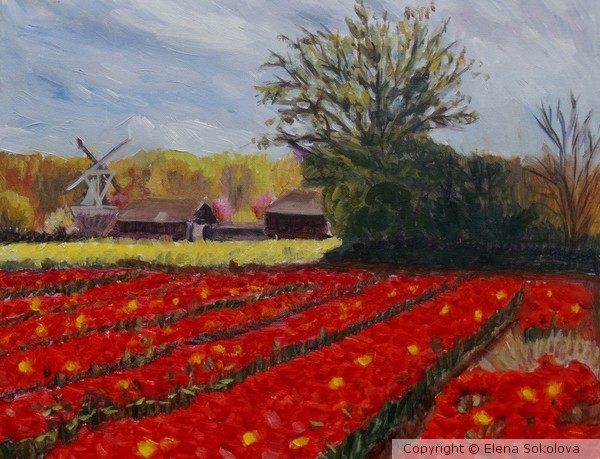 Spring in Holland 2