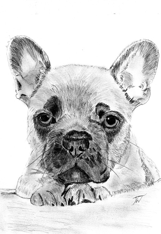 Argo
