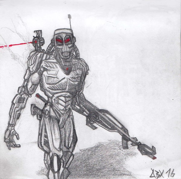 Sentinel robot