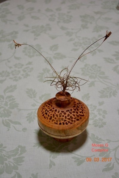 Lidded Pierced Box