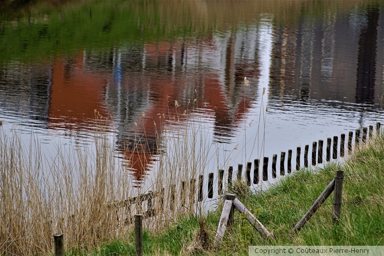 reflet