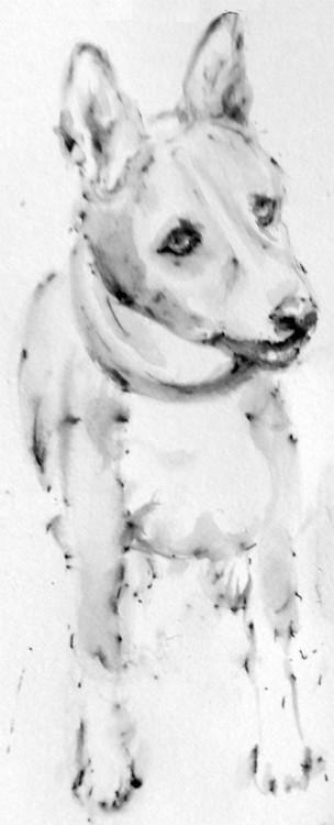 Ted Drawing