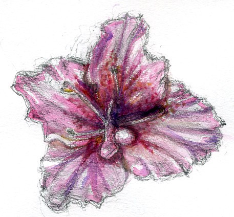 Azalea Watercolor