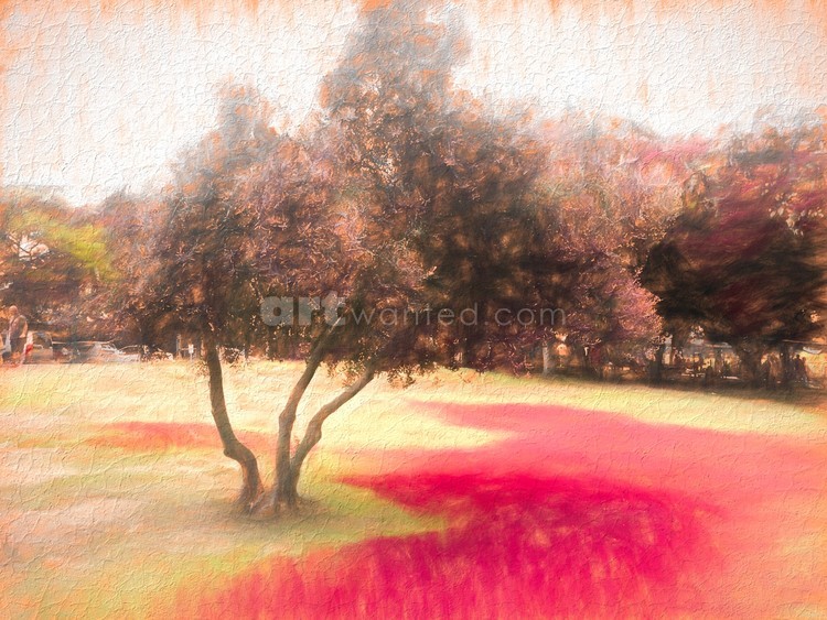 The Raanana Park 1