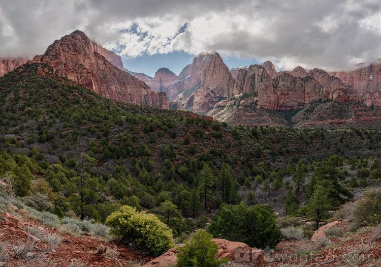 Mountains in the Desert