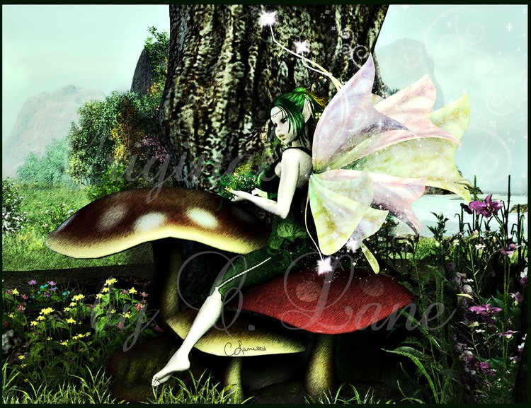 fairy wm