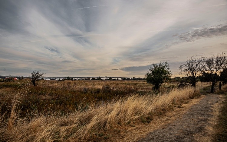 Morning along the Shoreline Trail - November1 2024