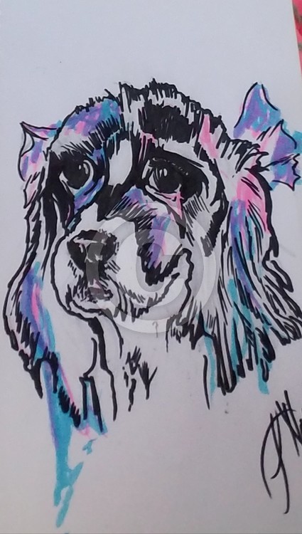 Bella