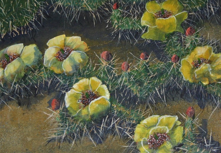 Yellow Cactus Flowers