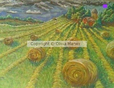 Hay Rows