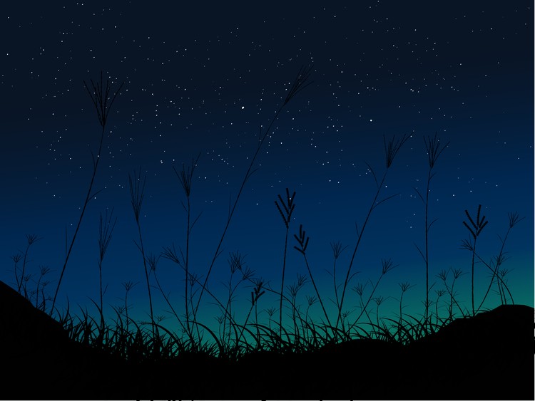 starry night