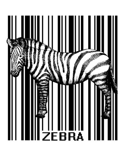 Zebra Hiding