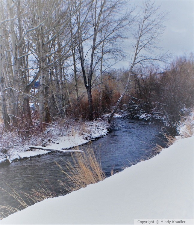 IMG 3049 (2)