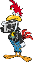 punky rooster
