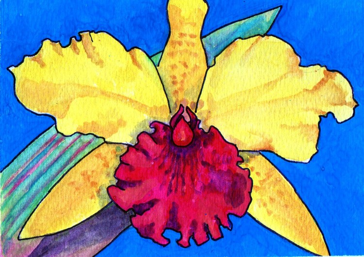 yellow orchid