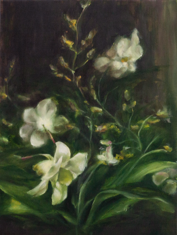 Narcissuses