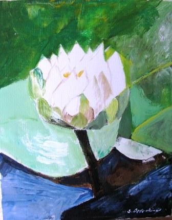 Lily of the lake.