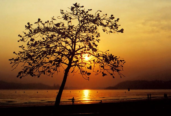 A day of summer...