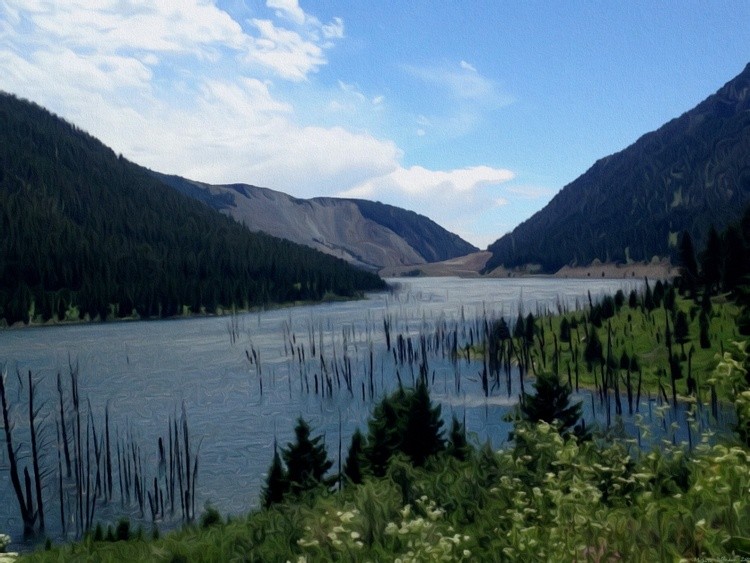 Montana Mountain River