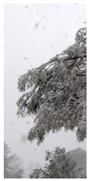 First Snow