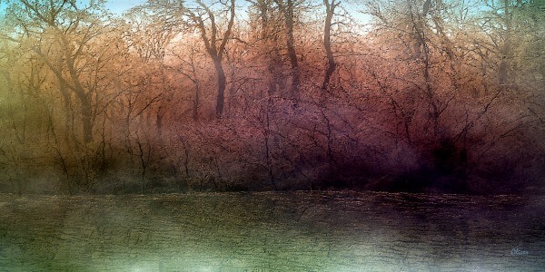 Hidden Creek