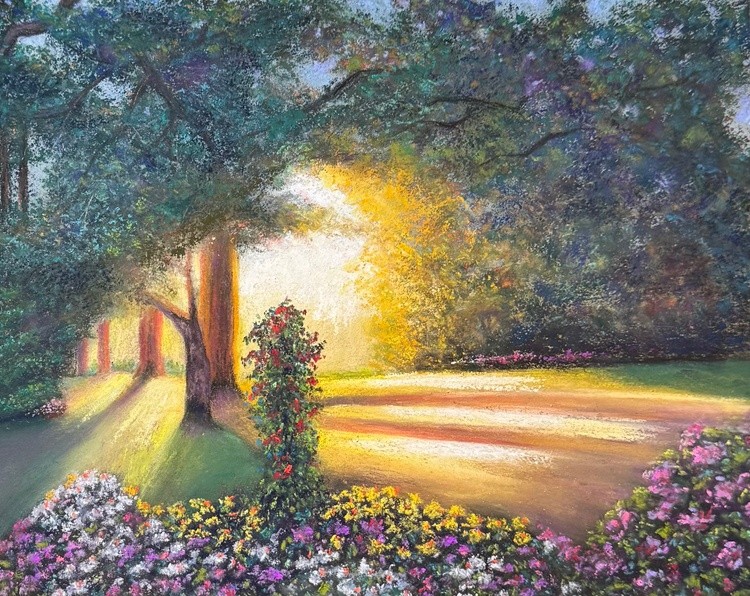Daybreak At Beacon Hill Park