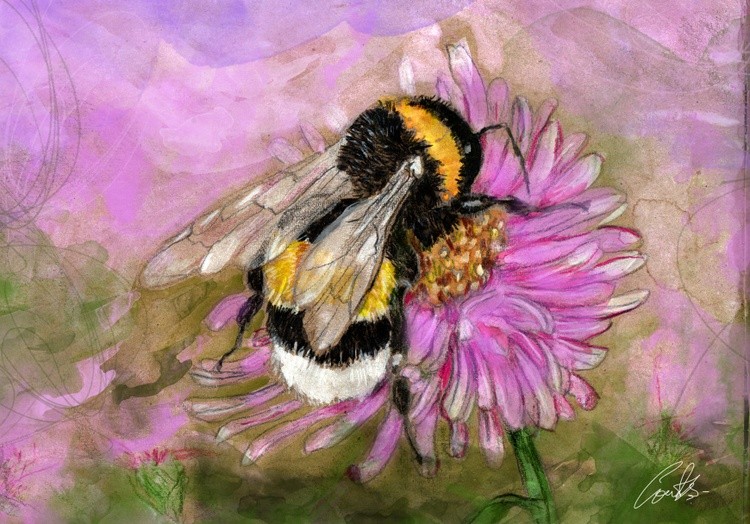 Bumble bee