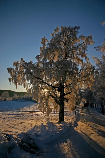 Cold winter I