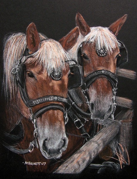 Two Work Horses