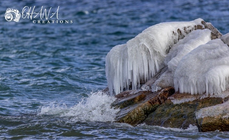 Frigid December Waters
