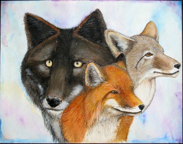 Canine family