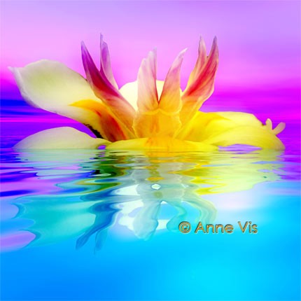 Tropical Flower