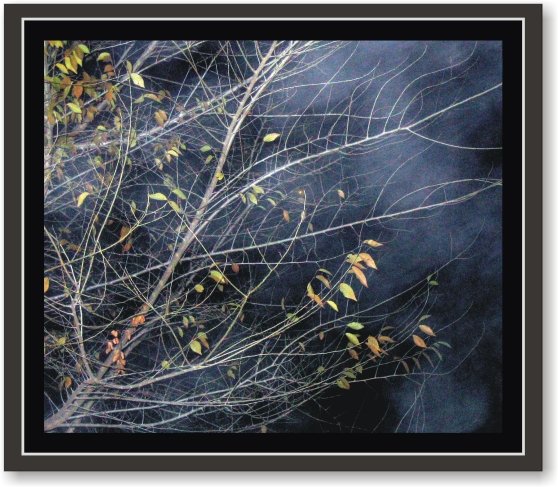 Night Fog