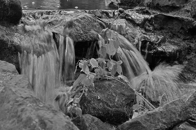 Rushing
