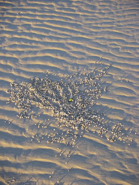 Tides Out