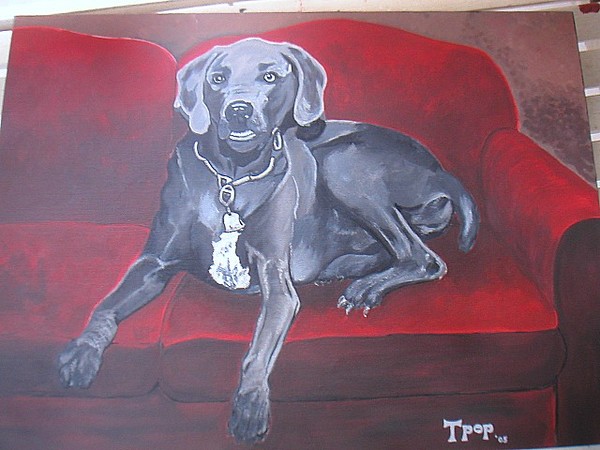 REX