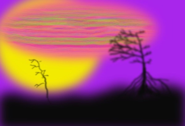 O355 Lonley trees