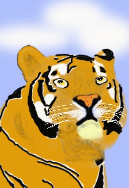 O416 Bengal Tiger