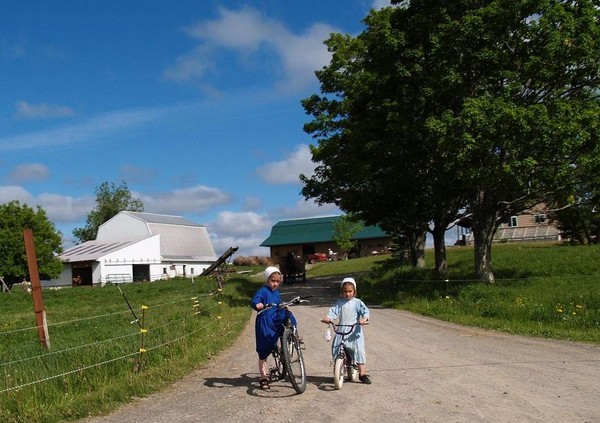 Amish Girls