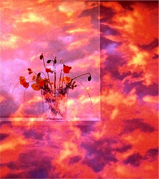 Sky Flowers