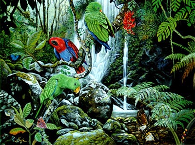 Enchanted Forest
