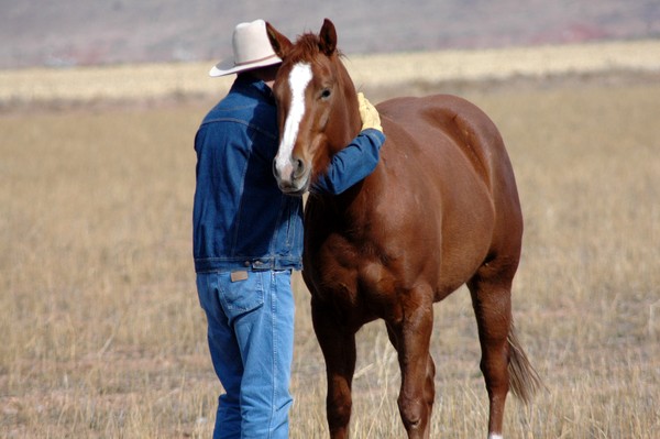 Lifetime of a Cowboy