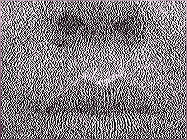 Lines of me