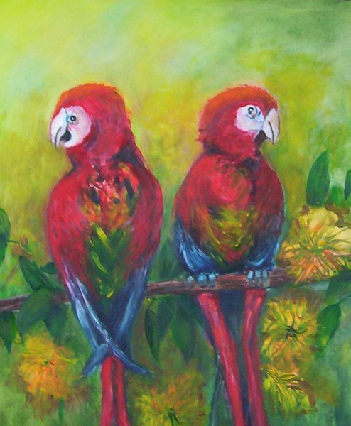 parrots