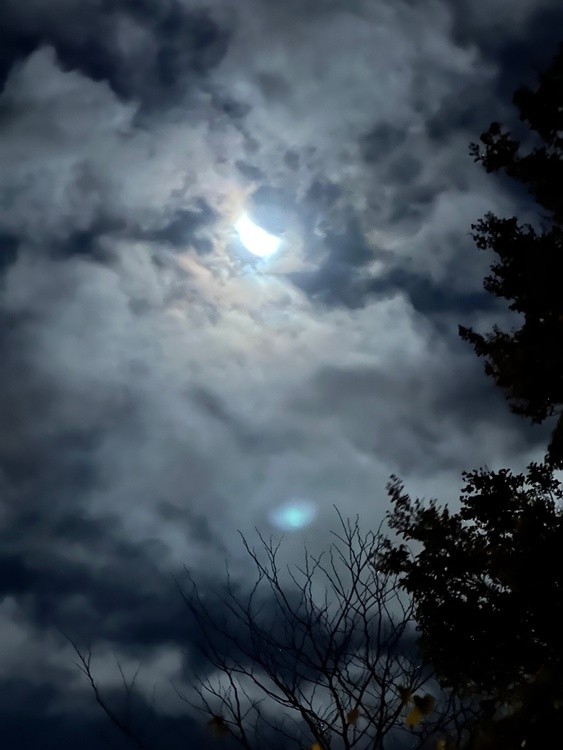 Night Sky