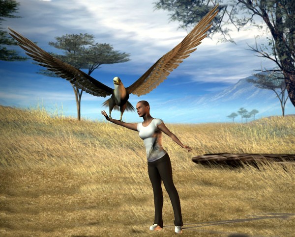 Dirl eagle