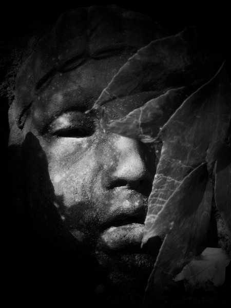 FACE