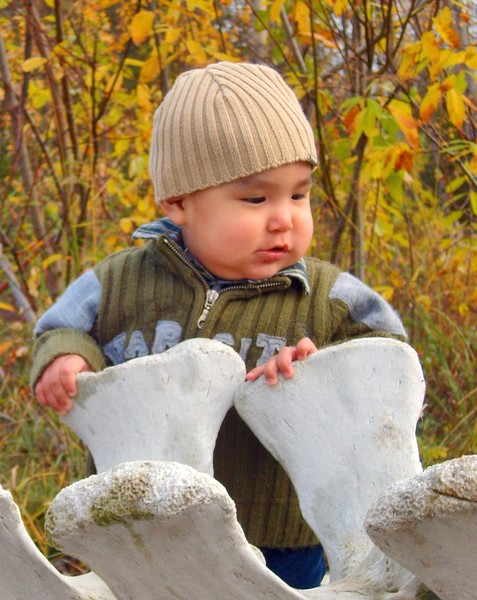 Cuteness V
