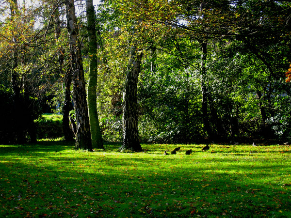 seven partridges.....
